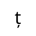 LATIN SMALL LETTER T WITH COMMA BELOW Latin Extended-B Unicode U+21B