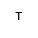 MODIFIER LETTER CAPITAL T Phonetic Extensions Unicode U+1D40